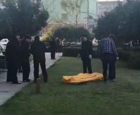 木兰溪跳楼最新爆料,跳楼事件最新爆料揭露惊人内幕